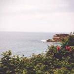 Eunice Wilderman Profile Picture